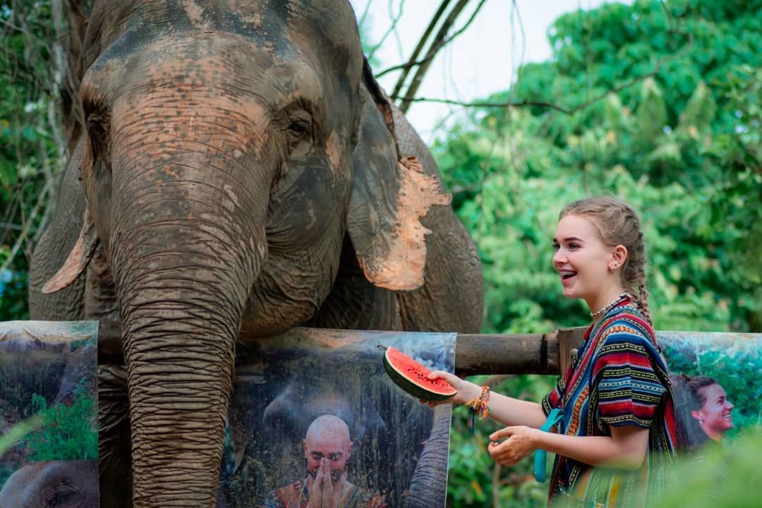 Feed and Shower at Elephant Sanctuary in Phuket : Morning Program